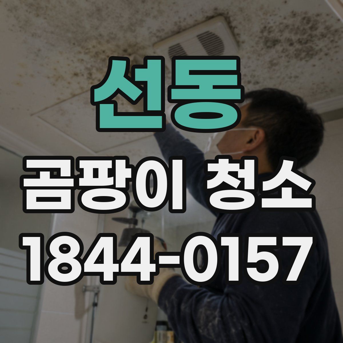 선동 곰팡이 청소