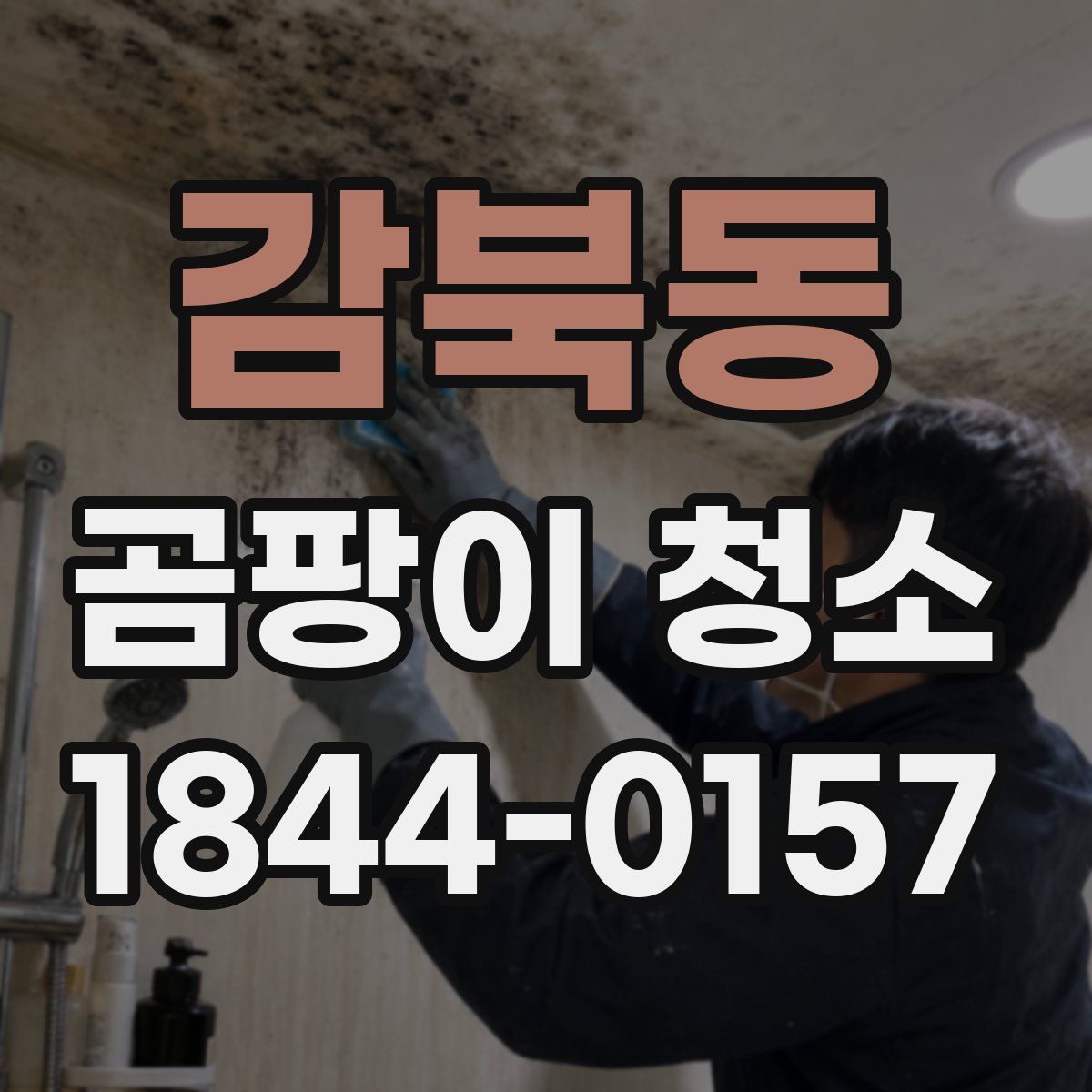 감북동 곰팡이 청소