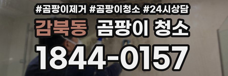 감북동 곰팡이 청소
