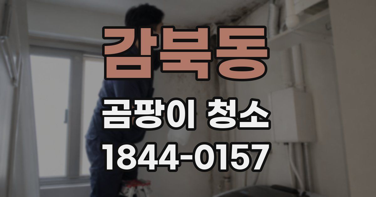 감북동 곰팡이 청소