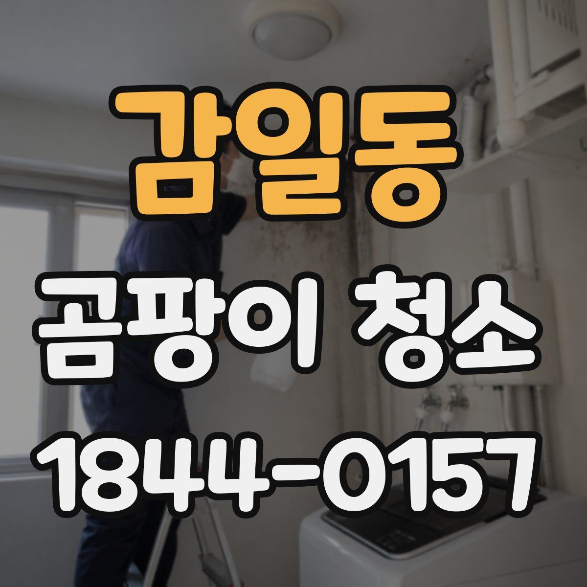 감일동 곰팡이 청소