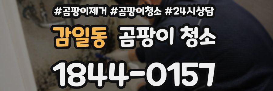 감일동 곰팡이 청소