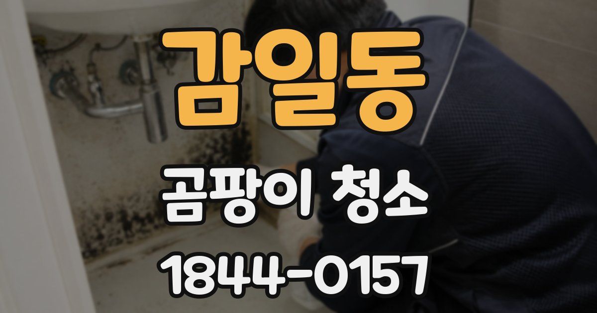 감일동 곰팡이 청소