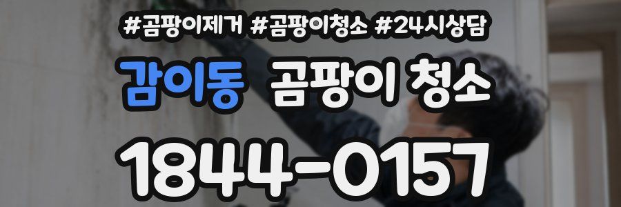 감이동 곰팡이 청소