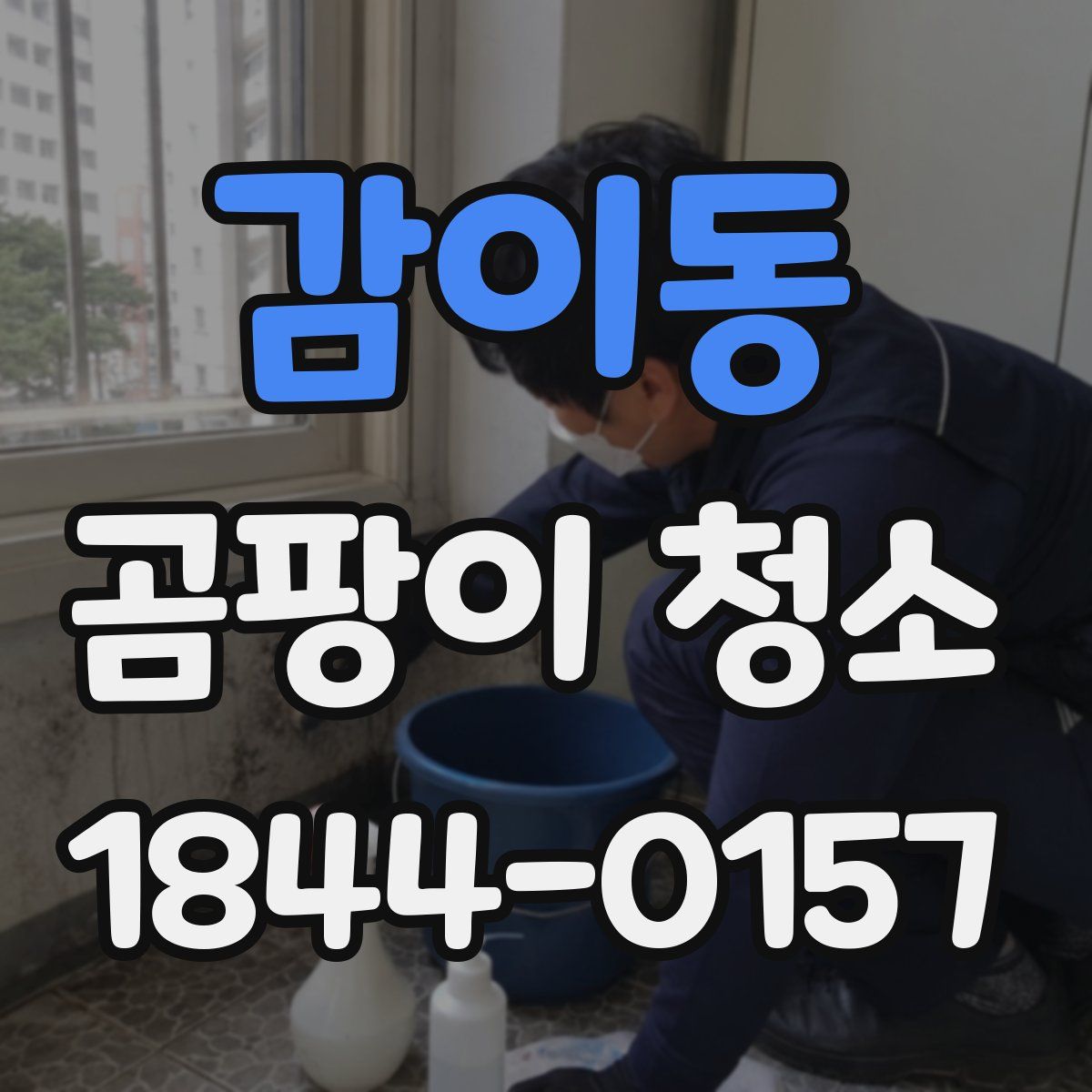 감이동 곰팡이 청소