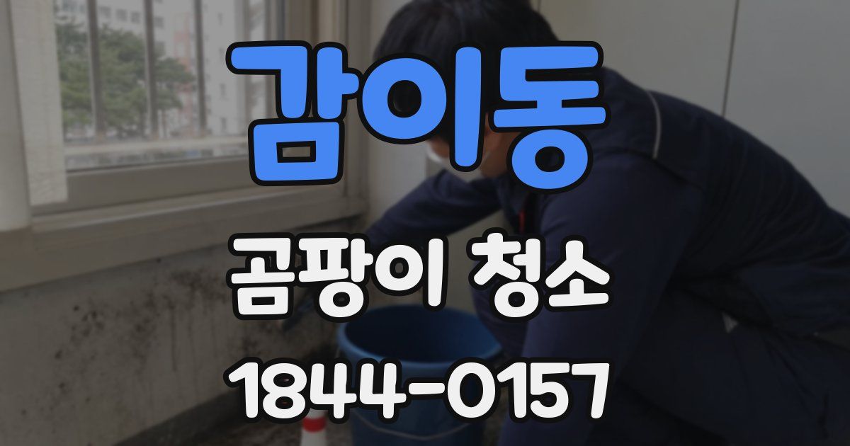 감이동 곰팡이 청소