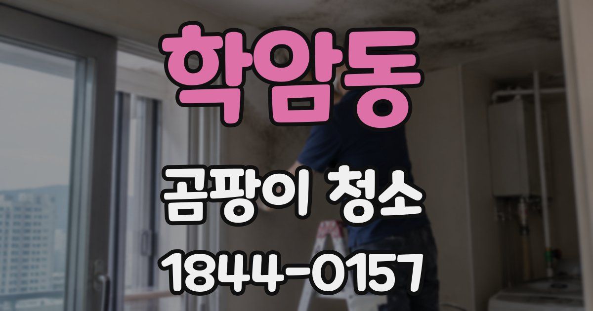 학암동 곰팡이 청소