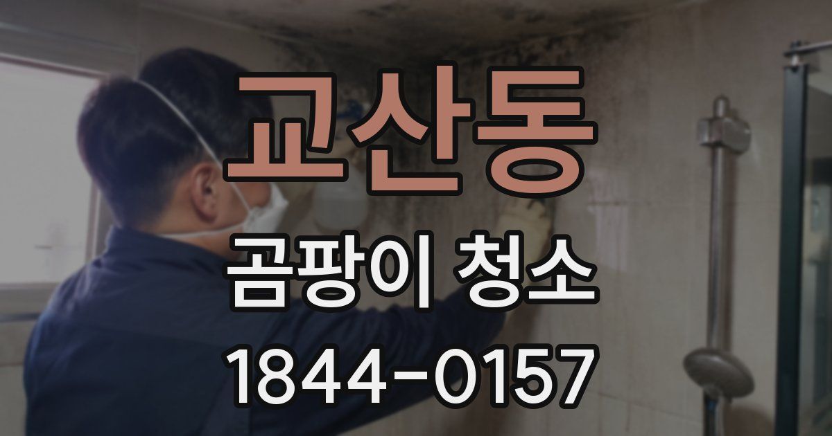 교산동 곰팡이 청소