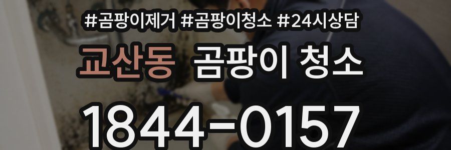 교산동 곰팡이 청소