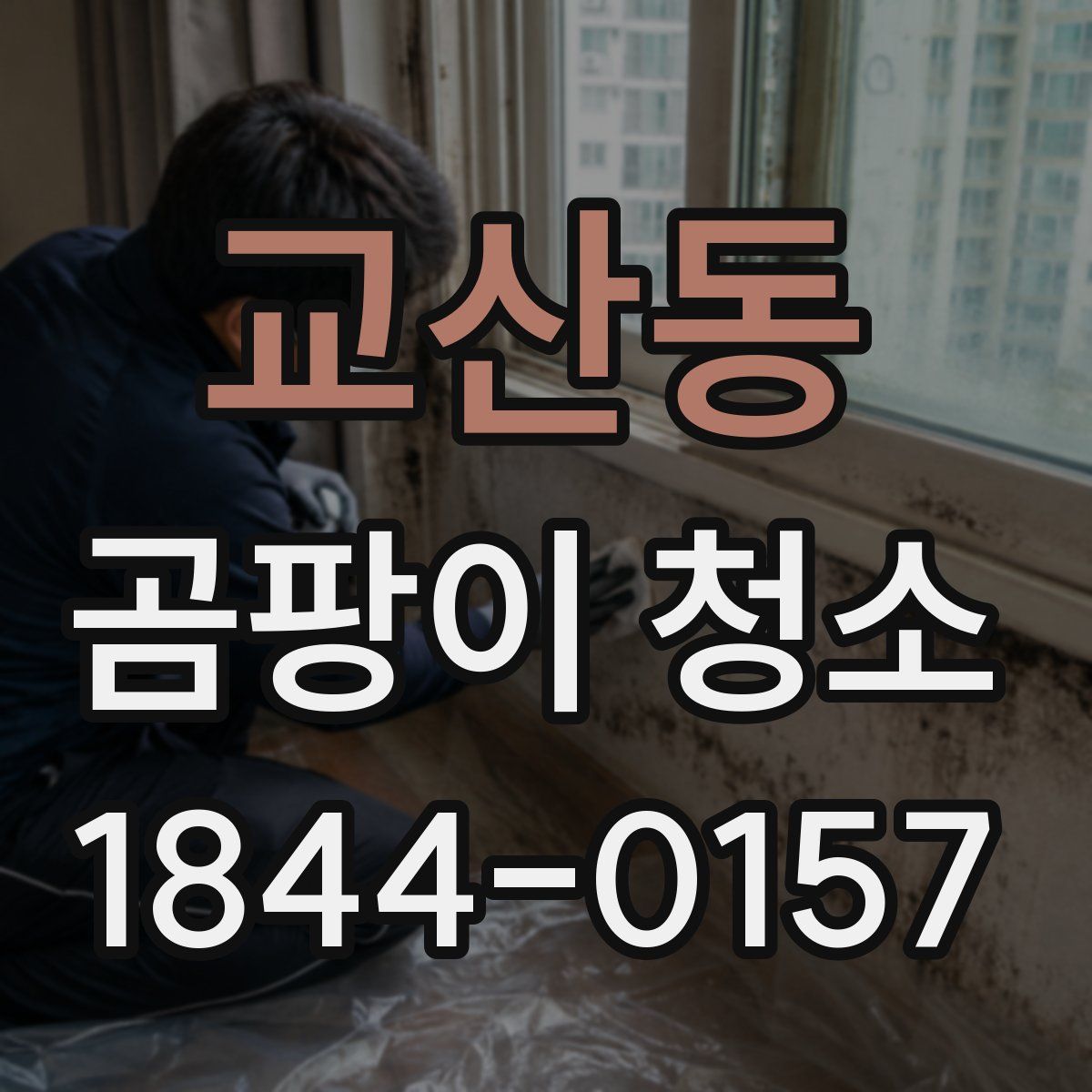 교산동 곰팡이 청소