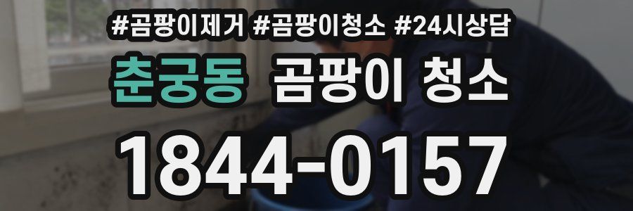춘궁동 곰팡이 청소