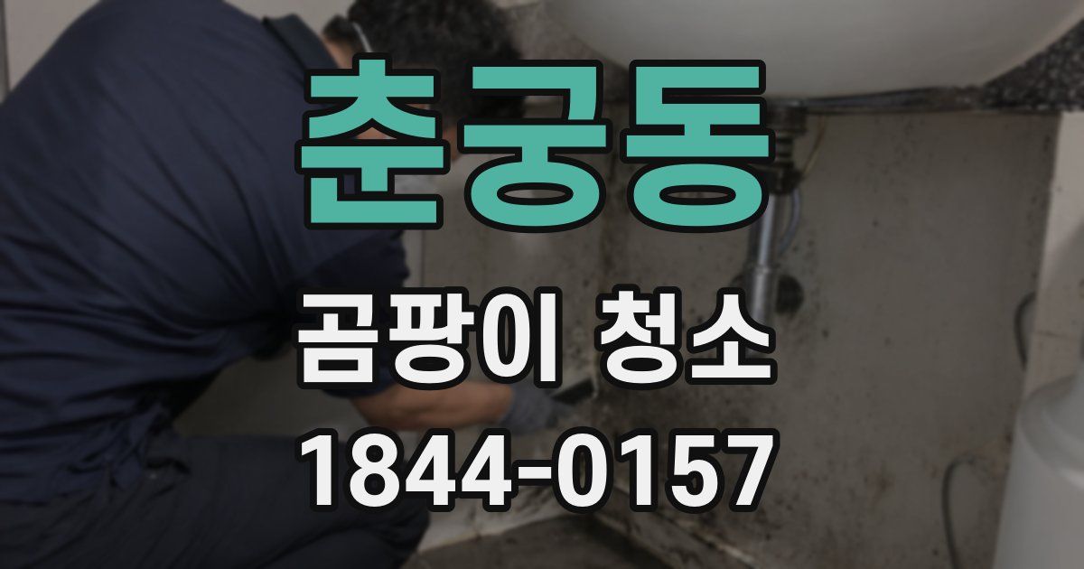 춘궁동 곰팡이 청소