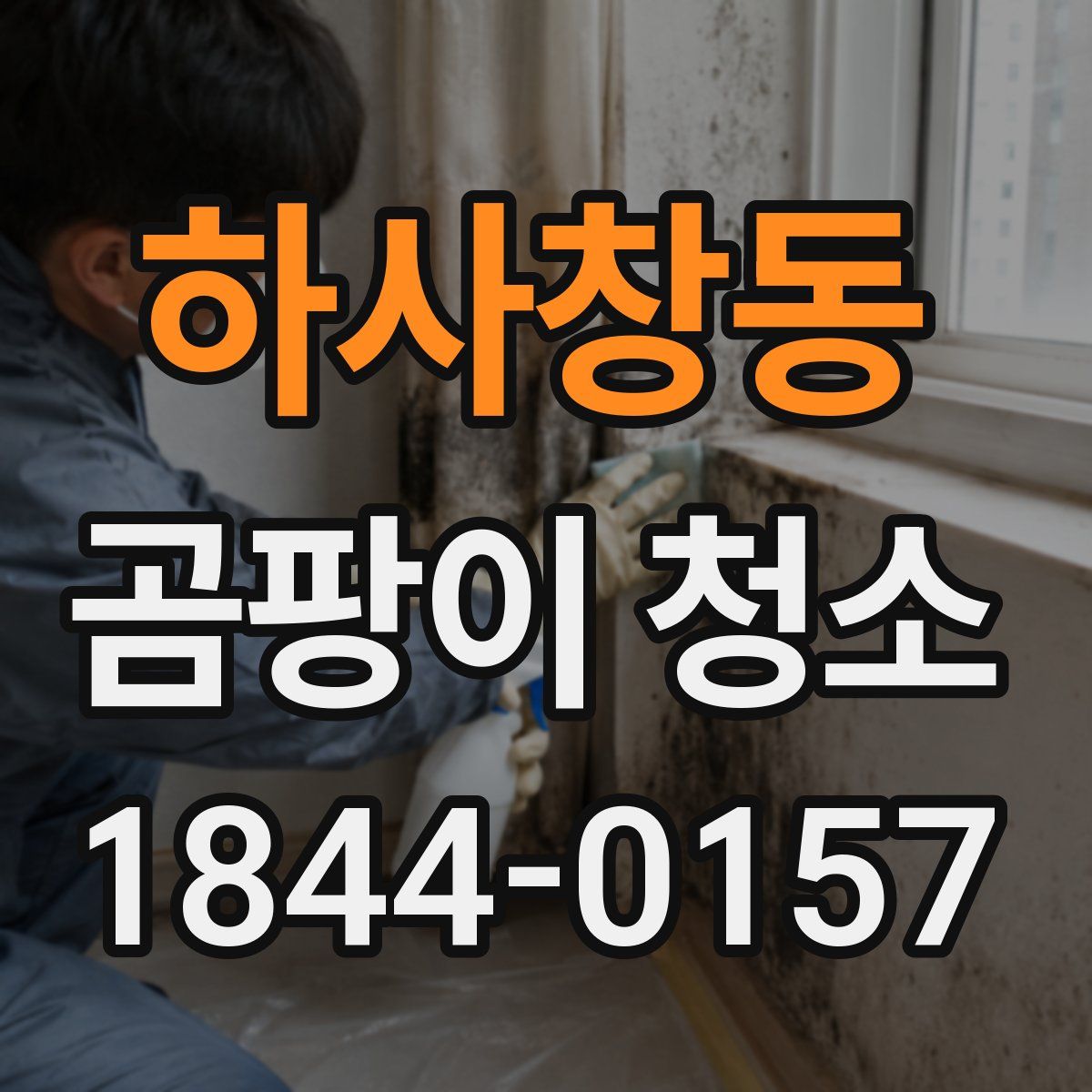 하사창동 곰팡이 청소