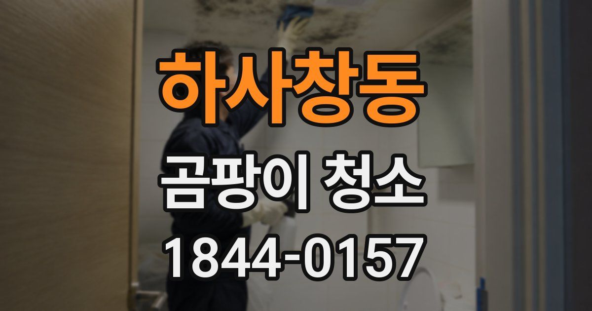 하사창동 곰팡이 청소