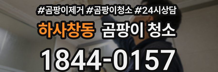 하사창동 곰팡이 청소