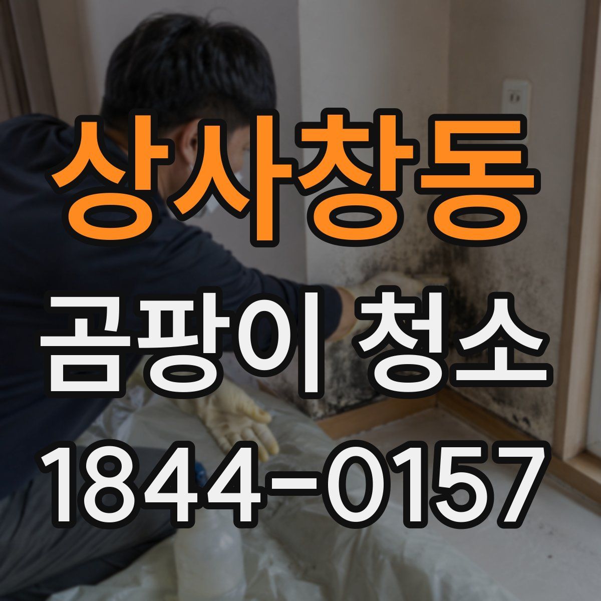 상사창동 곰팡이 청소