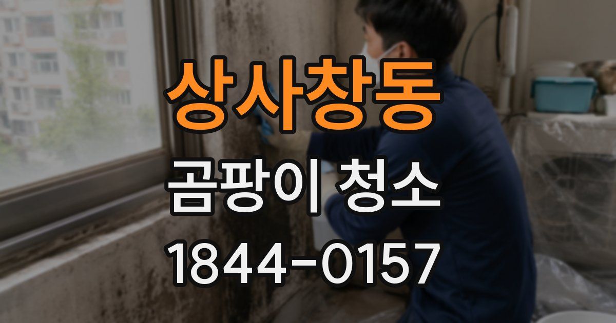 상사창동 곰팡이 청소
