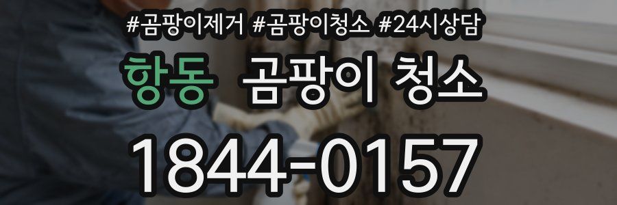 항동 곰팡이 청소