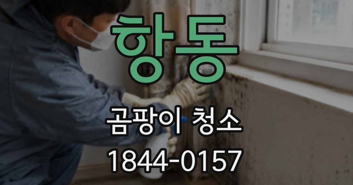 항동 곰팡이 청소