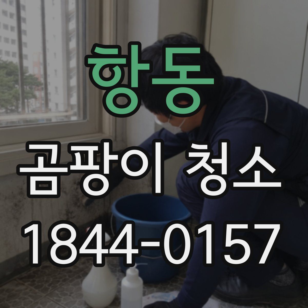 항동 곰팡이 청소