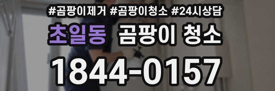 초일동 곰팡이 청소