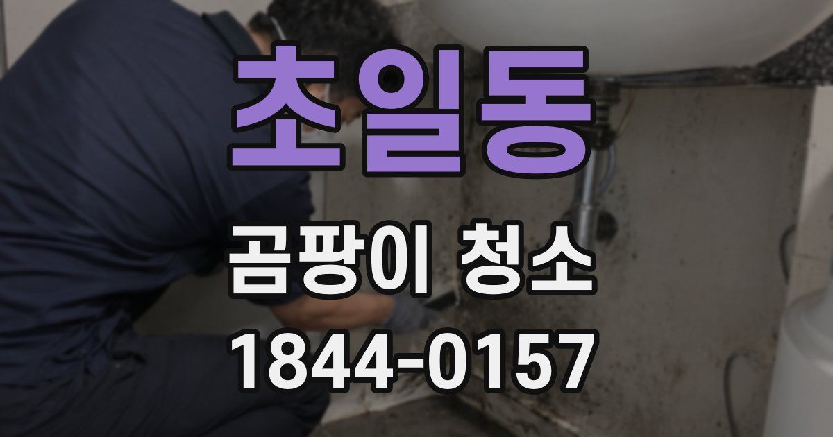 초일동 곰팡이 청소