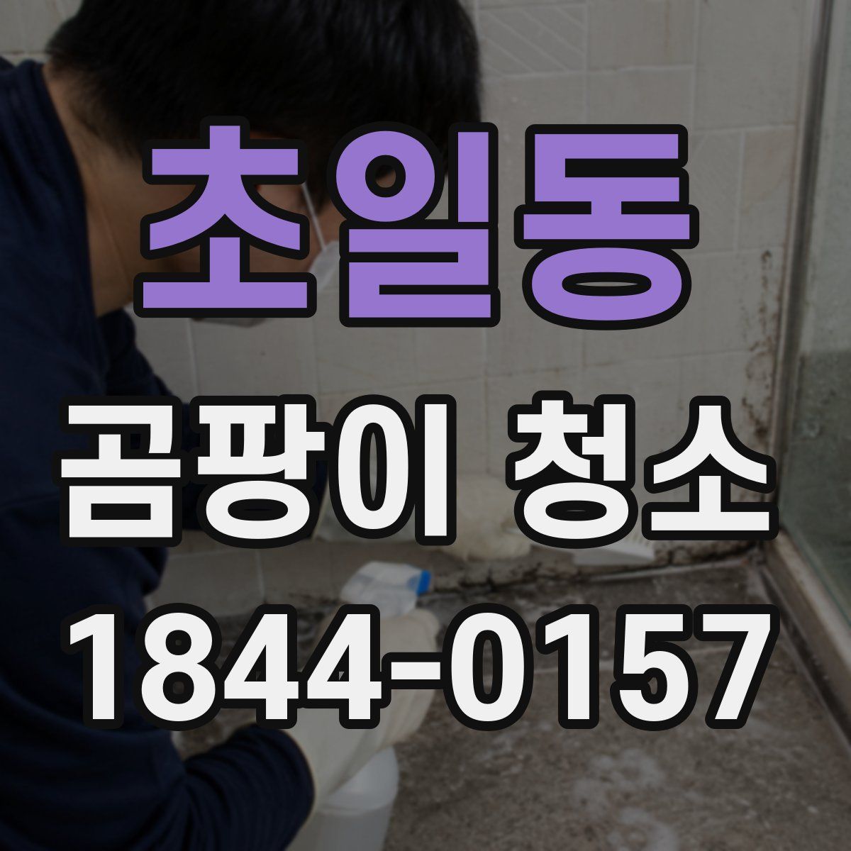 초일동 곰팡이 청소