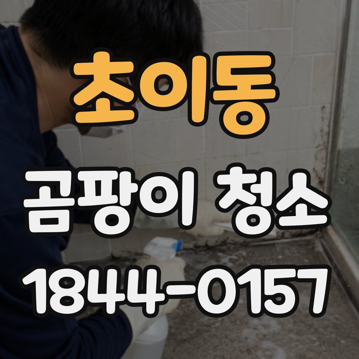 초이동 곰팡이 청소
