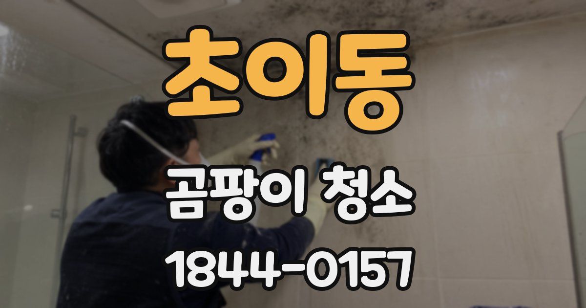 초이동 곰팡이 청소