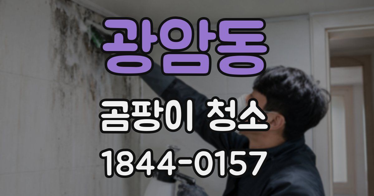광암동 곰팡이 청소