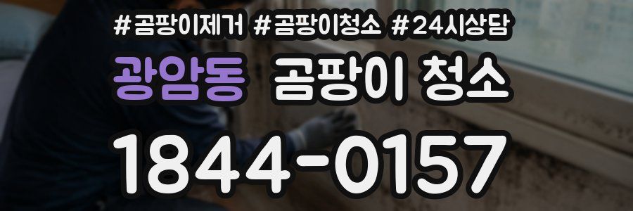 광암동 곰팡이 청소