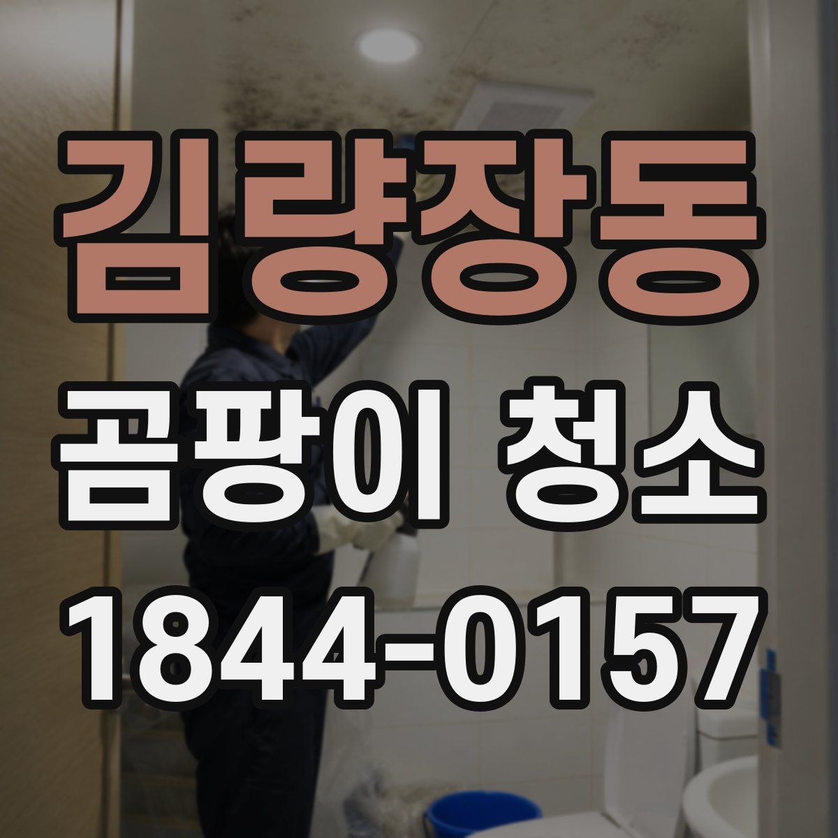 김량장동 곰팡이 청소