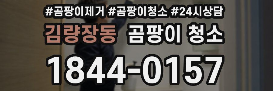 김량장동 곰팡이 청소