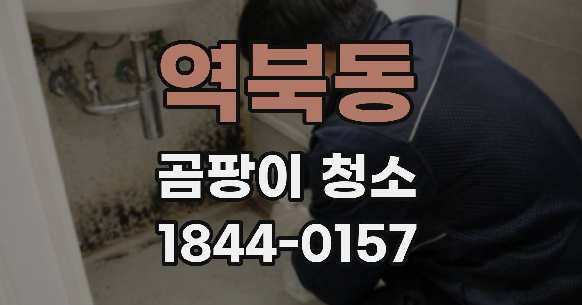 역북동 곰팡이 청소