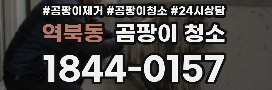 역북동 곰팡이 청소