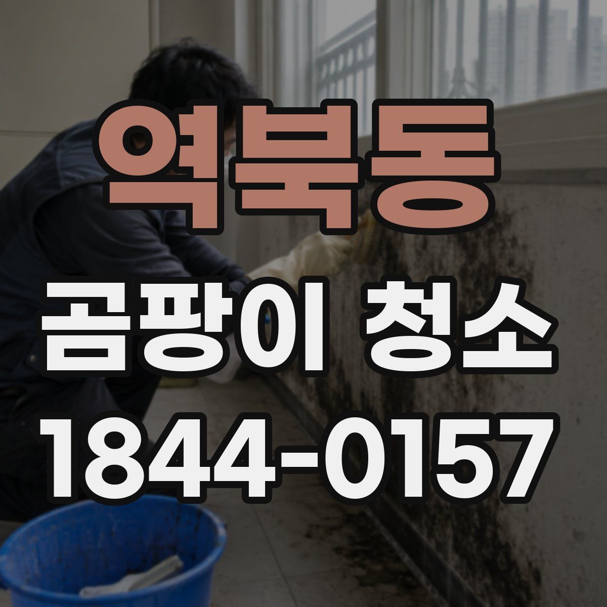 역북동 곰팡이 청소