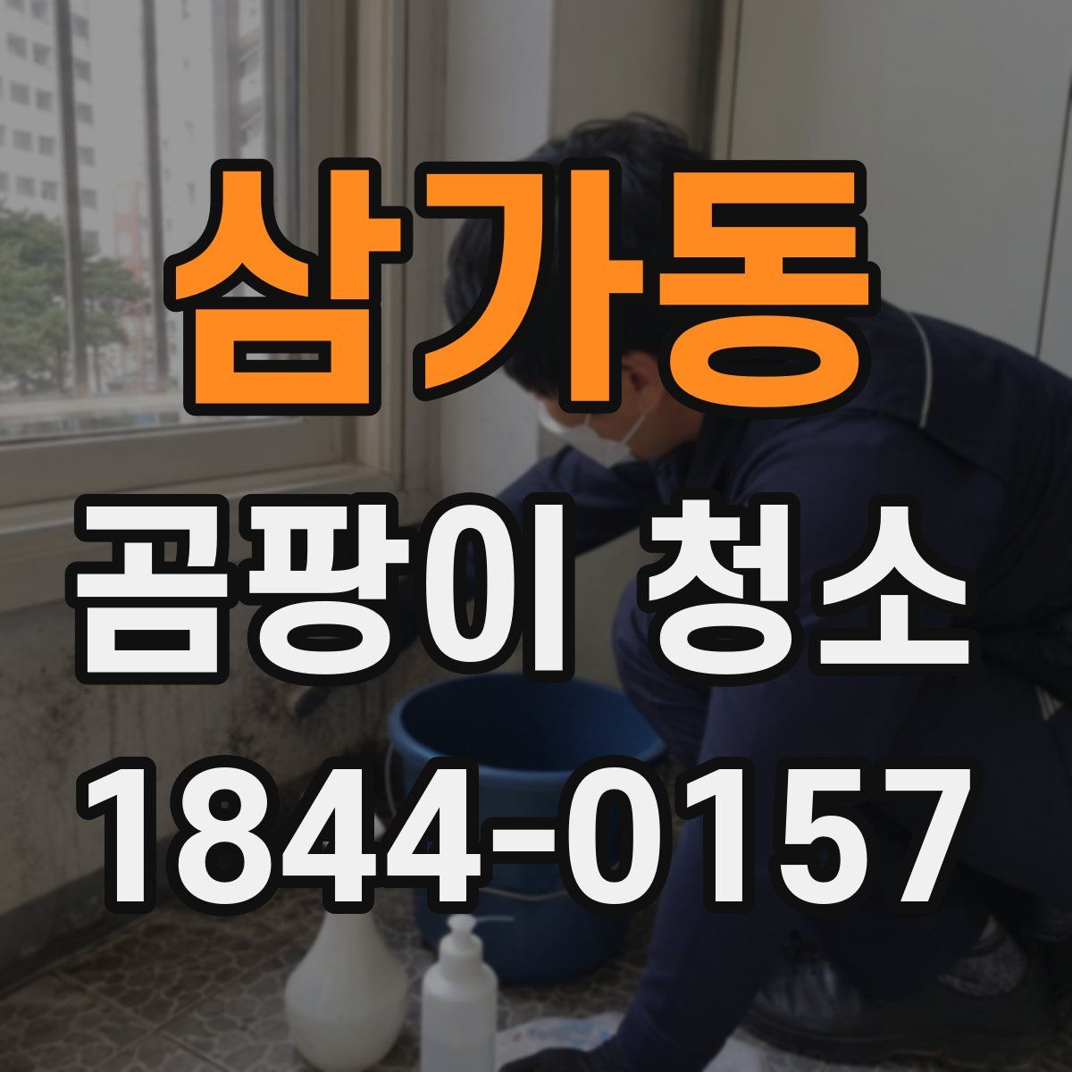삼가동 곰팡이 청소