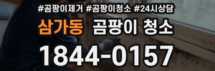 삼가동 곰팡이 청소
