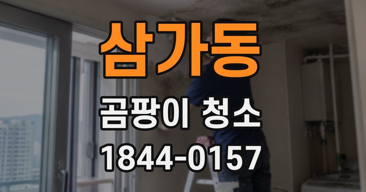 삼가동 곰팡이 청소