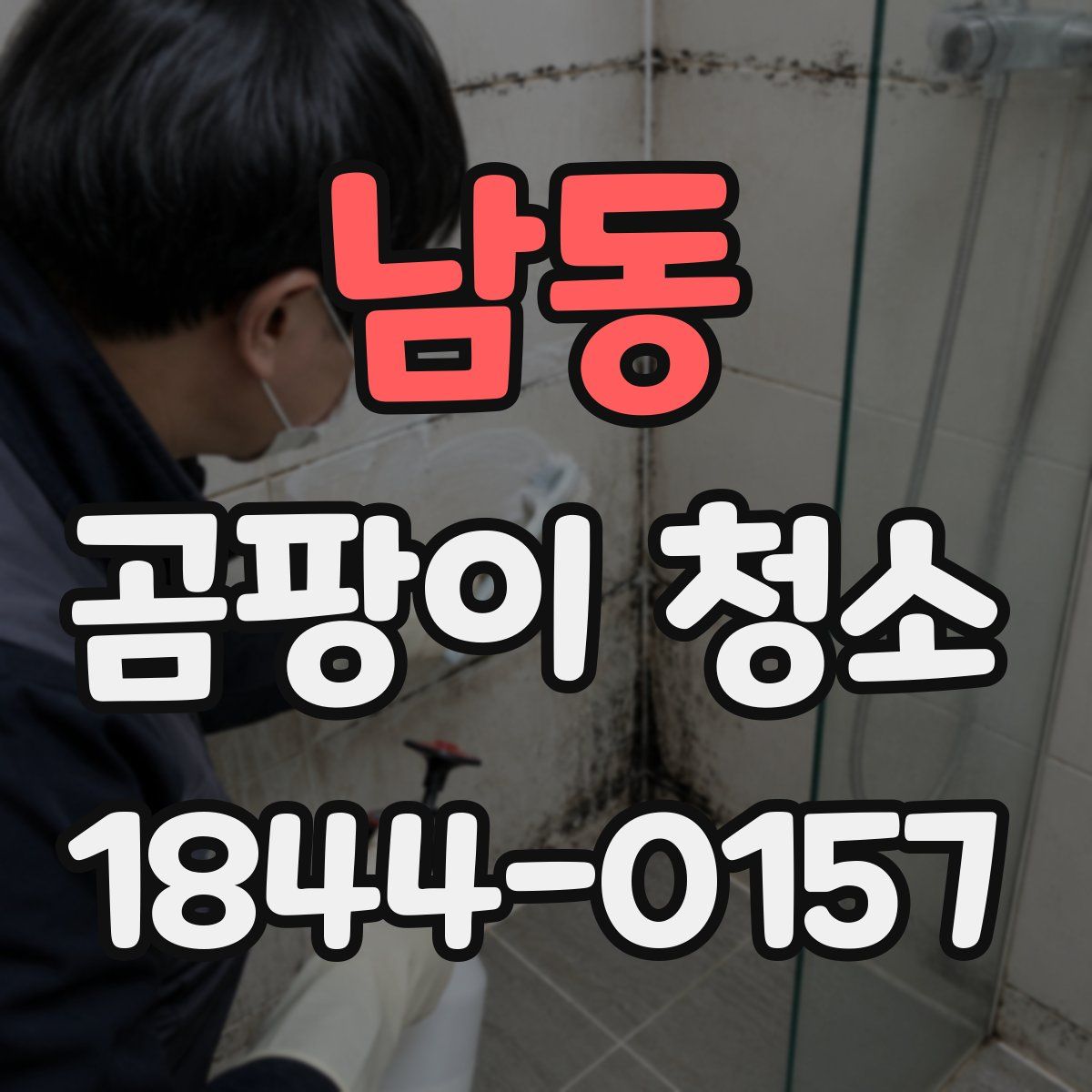 남동 곰팡이 청소