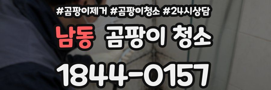 남동 곰팡이 청소