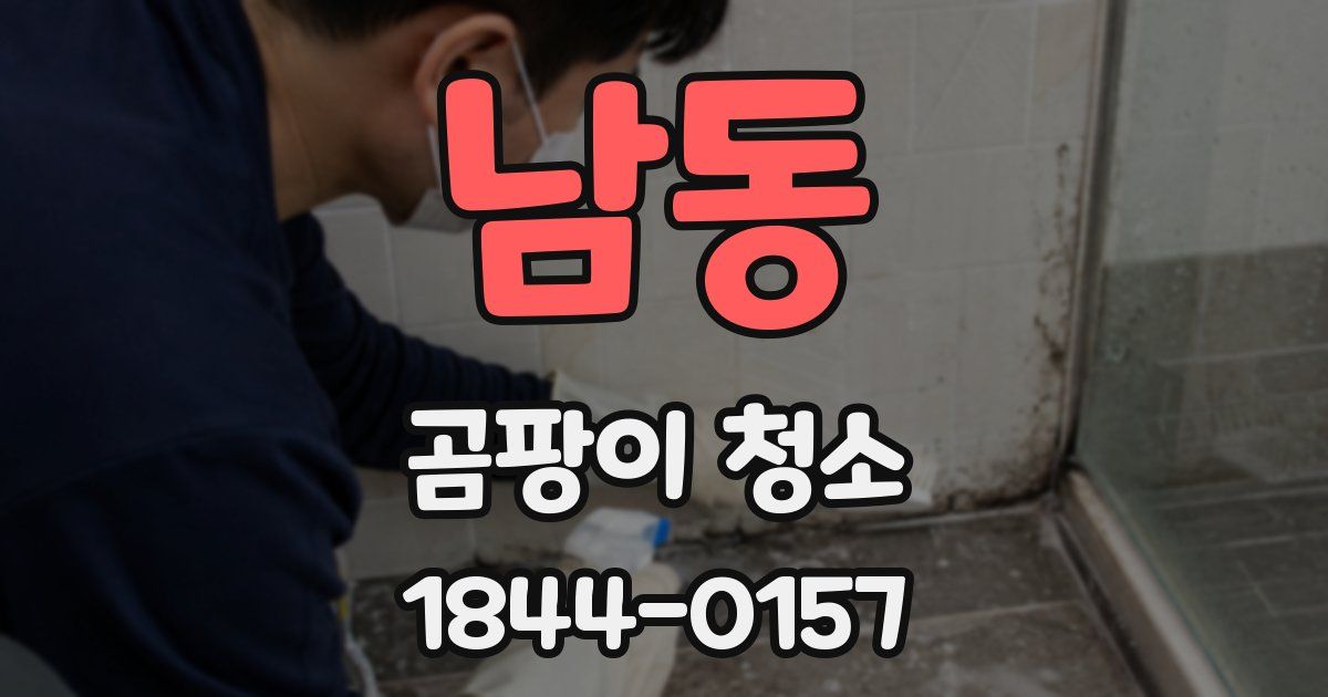 남동 곰팡이 청소