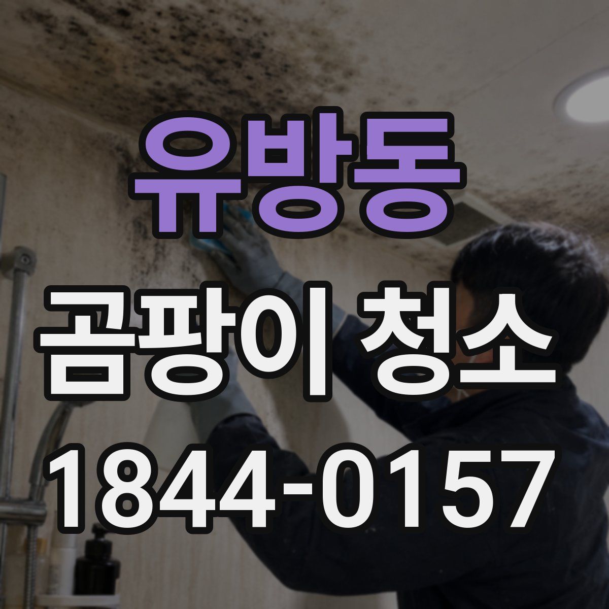 유방동 곰팡이 청소