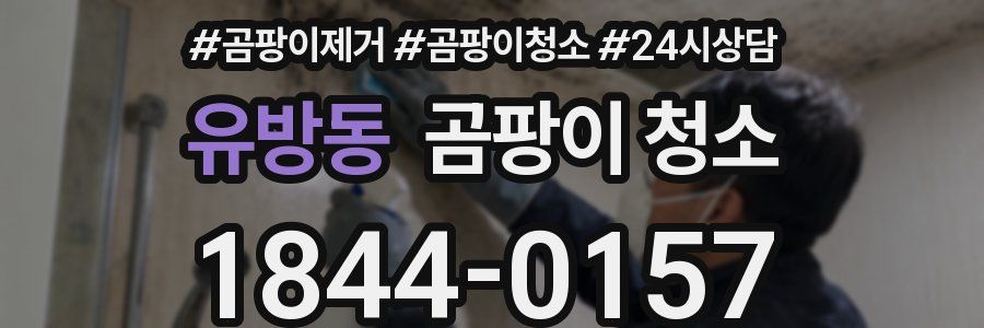 유방동 곰팡이 청소