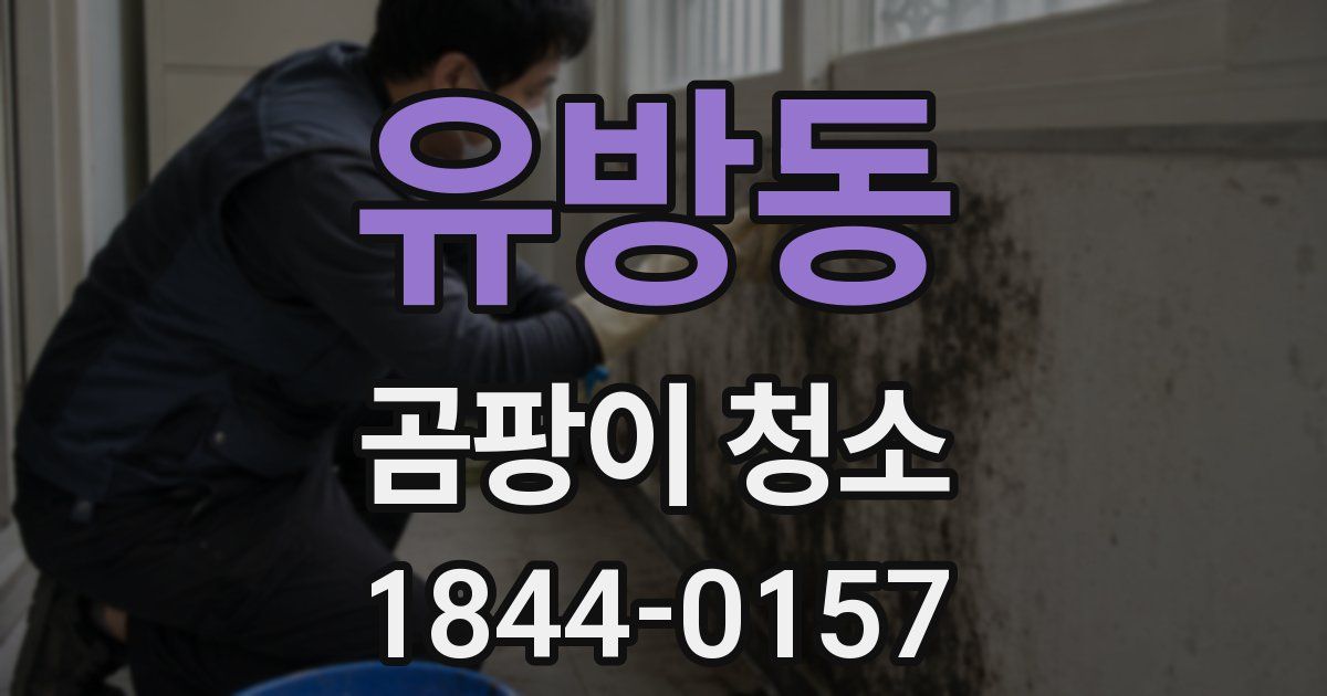 유방동 곰팡이 청소