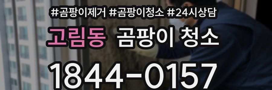 고림동 곰팡이 청소