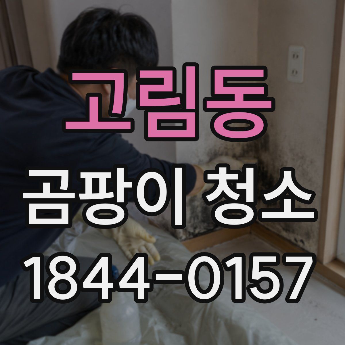 고림동 곰팡이 청소