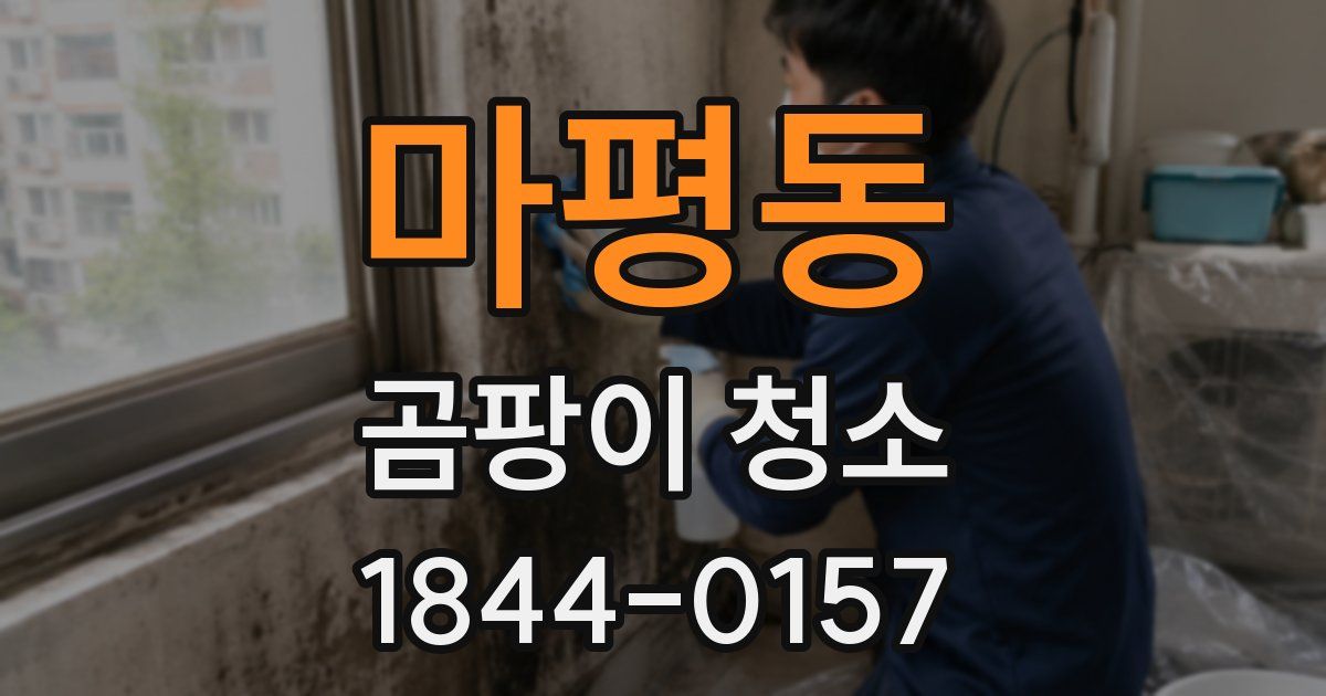 마평동 곰팡이 청소