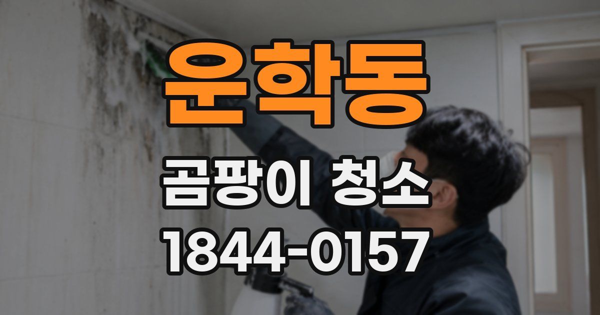 운학동 곰팡이 청소