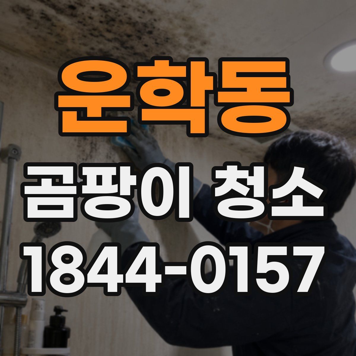운학동 곰팡이 청소
